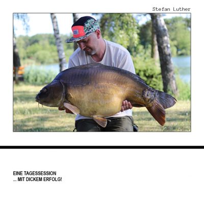 CARPMIRROR Ausgabe 5 | 2025 – Bild 2